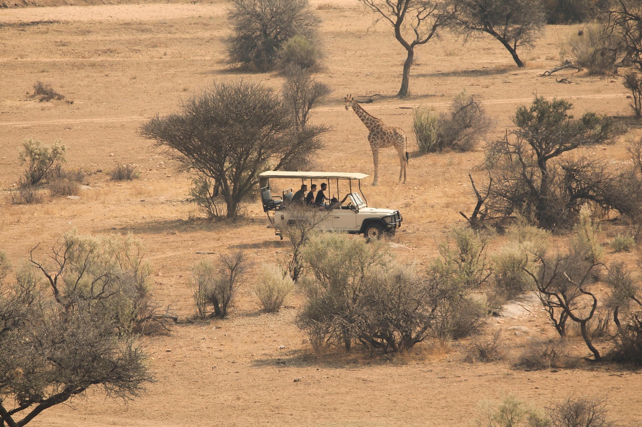 Tour Services